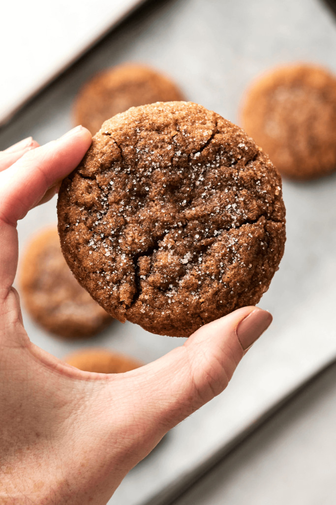 Gros plan d'une main tenant un biscuit de mélasse de gingembre fraîchement cuit avec un dessus craquelé et enrobé de sucre. D'autres biscuits sont flous à l'arrière-plan sur une plaque de cuisson.